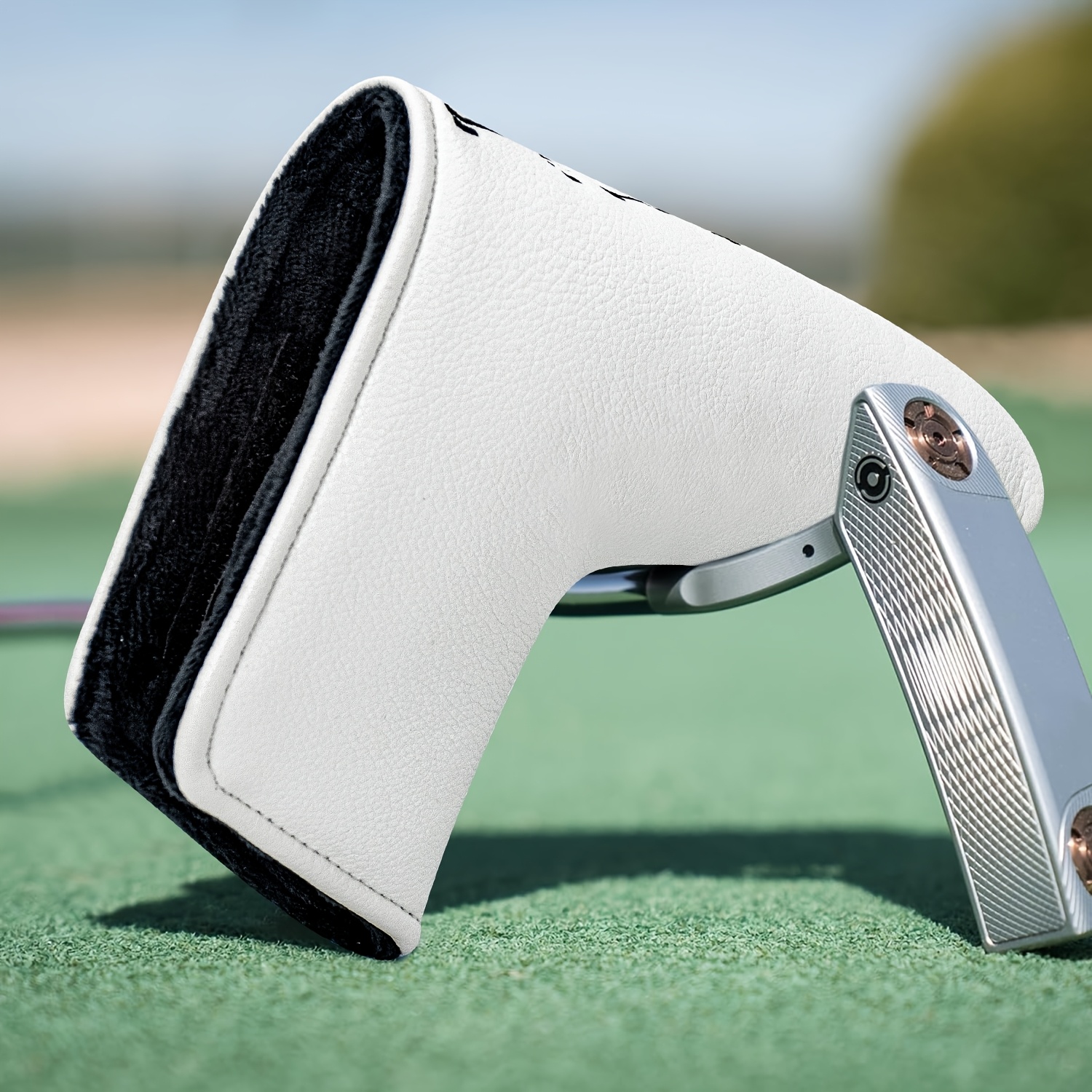 Dinosaur & Crossbones Golf Put - Golf Equipment Deals recensie en prijs